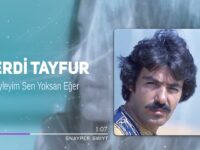 Ferdi Tayfur – Neyleyim Sen Yoksan Eğer Akor ve Nota