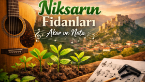 Niksarın Fidanları Akor ve Nota