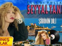 Seyyal Taner – Şiirimin Dili Akor ve Nota