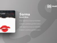 Sezen Aksu – Sorma Ne Haldeyim Akor ve Nota