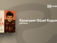 Kanaryam Güzel Kuşum Nota ve Akor