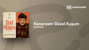 Kanaryam Güzel Kuşum Nota ve Akor